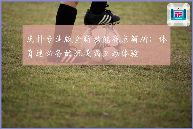 虎扑专业版全新功能亮点解析:体育迷必备的沉浸式互动体验