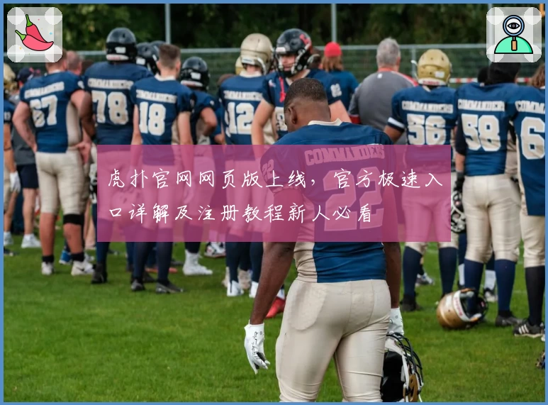 虎扑官网网页版上线，官方极速入口详解及注册教程新人必看