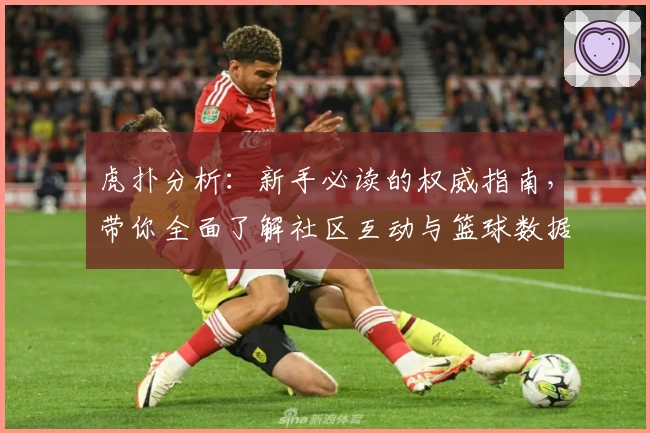 虎扑分析：新手必读的权威指南，带你全面了解社区互动与篮球数据